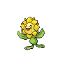 Sunflora