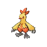 Combusken