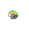 Shaymin-land