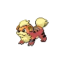 Growlithe