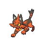 Torracat