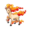 Rapidash