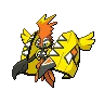 Tapu-koko