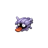 Shellder