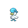 Quaxly