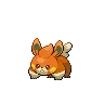 Pawmi