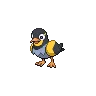 Wattrel