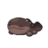 Clodsire