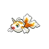 Goldeen variocolor