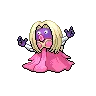 Jynx variocolor