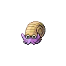 Omanyte variocolor