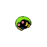 Kabuto variocolor