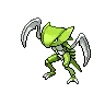 Kabutops variocolor