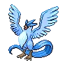 Articuno variocolor