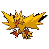 Zapdos variocolor
