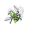 Beedrill variocolor