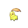 Chikorita variocolor