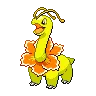 Meganium variocolor
