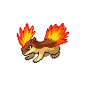 Quilava variocolor