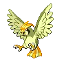 Pidgeotto variocolor