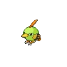Natu variocolor