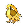 Pidgeot variocolor