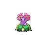 Bellossom variocolor