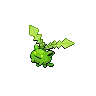 Hoppip variocolor