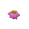 Skiploom variocolor