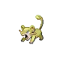 Rattata variocolor