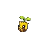 Sunkern variocolor