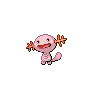 Wooper variocolor
