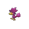 Murkrow variocolor