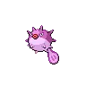 Qwilfish variocolor