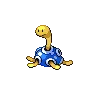 Shuckle variocolor
