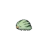 Swinub variocolor