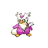 Delibird variocolor