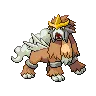 Entei variocolor