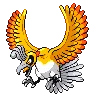 Ho-oh variocolor