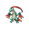 Grovyle variocolor