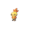Torchic variocolor