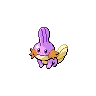 Mudkip variocolor