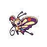 Beautifly variocolor