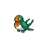 Taillow variocolor