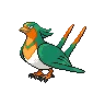 Swellow variocolor