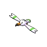 Wingull variocolor