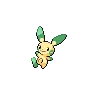 Minun variocolor