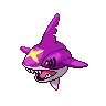 Sharpedo variocolor