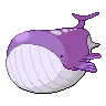 Wailord variocolor