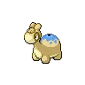 Numel variocolor
